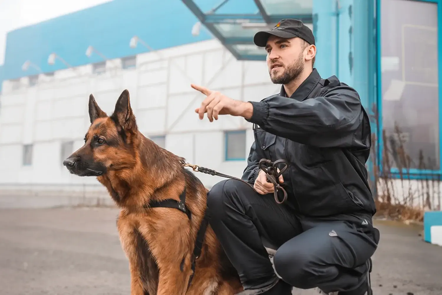 K9 security guard in guard mark uniform handles watchdog, securing premises against theft, vandalism with vigilance.