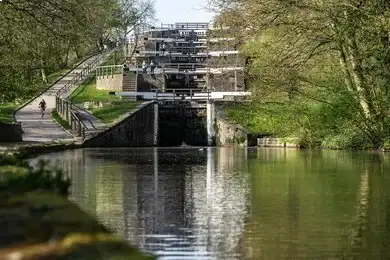 bingley